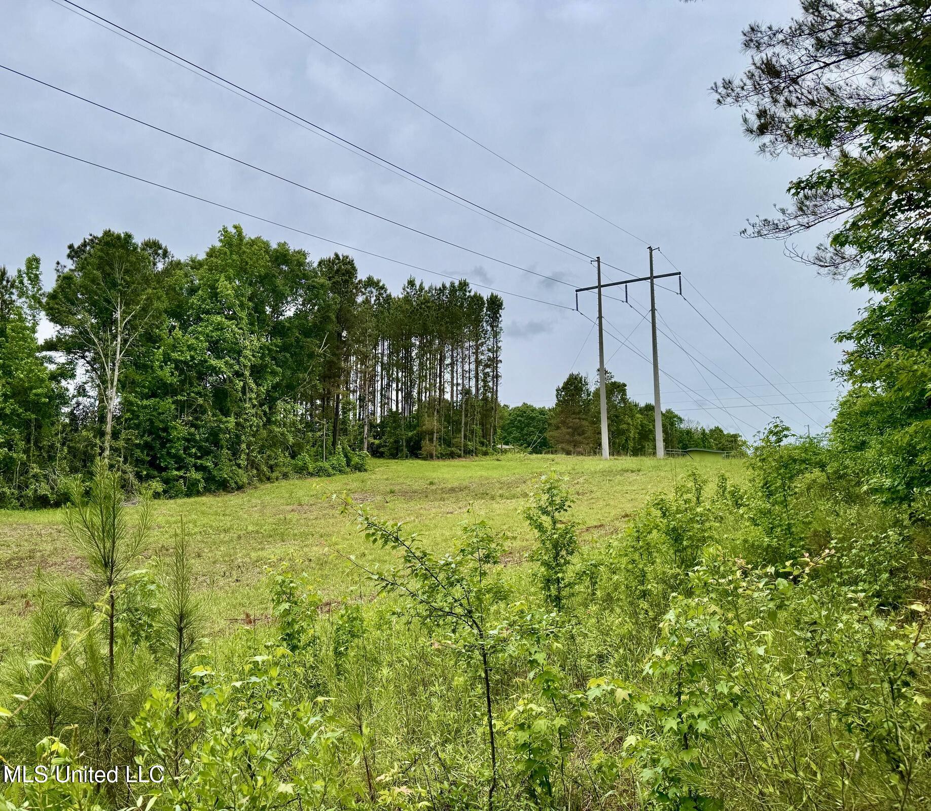 19 Mount Carmel Road Bailey, MS 39326 - Photo 26 of 26 52AB09DA-D1E2-4F74-A0E7-8D788A3CBA41_1_2