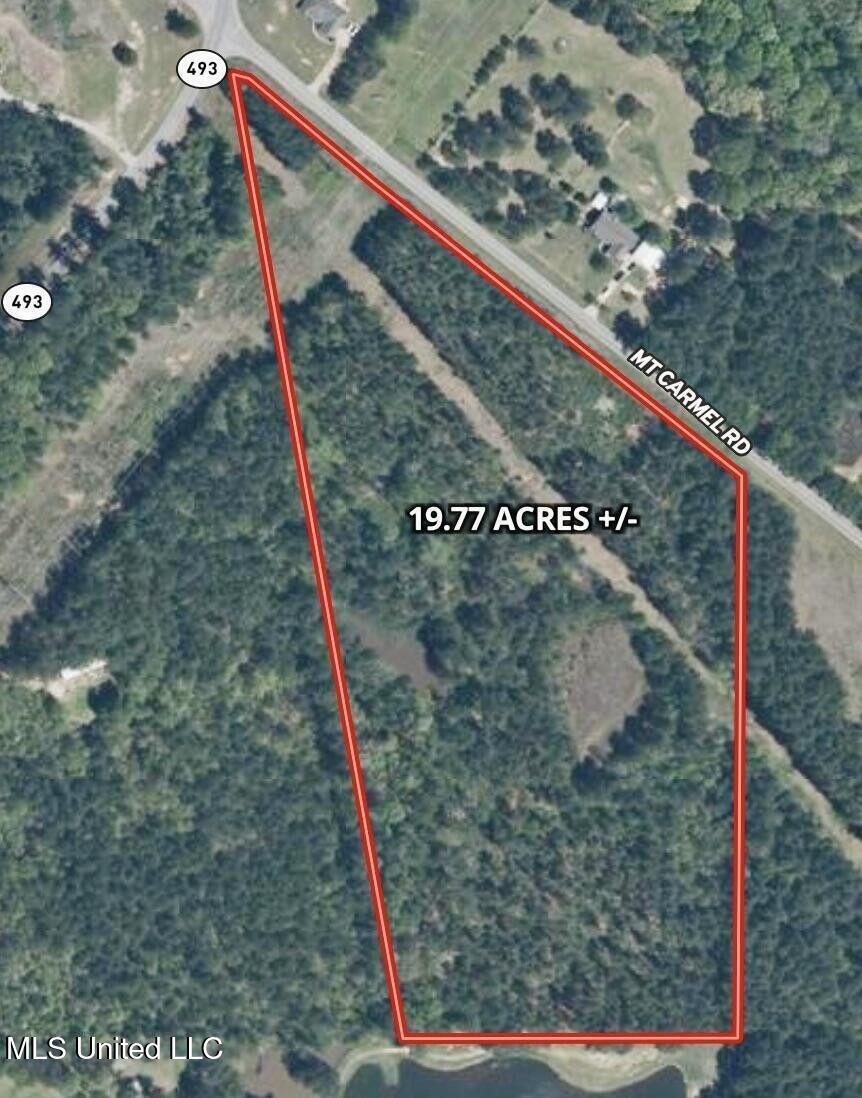 19 Mount Carmel Road Bailey, MS 39326 - Photo 3 of 26 E9355DC6-8E6B-4F2F-9989-33AEE91E3C41_1_2