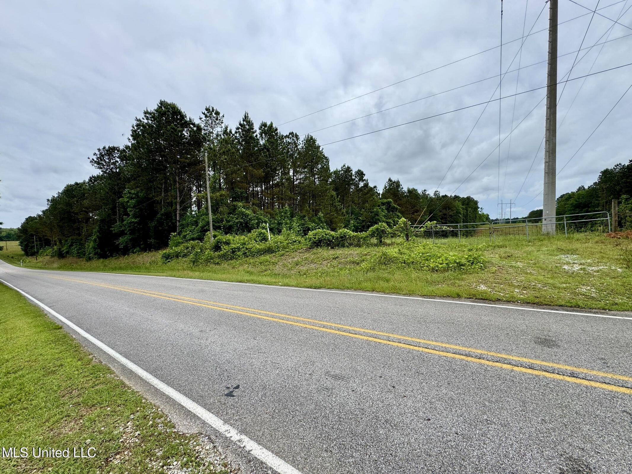 19 Mount Carmel Road Bailey, MS 39326 - Photo 4 of 26 2C675D0E-09F6-4EE7-AC80-D39A9C65D26F_1_2