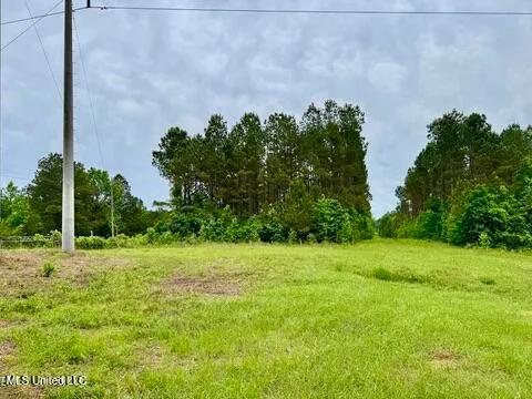 $99,500 | 19 Mount Carmel Road, Bailey, MS 39326