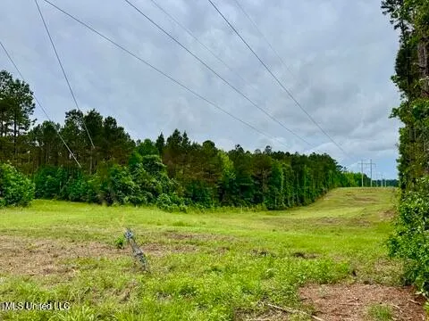 $99,500 | 19 Mount Carmel Road, Bailey, MS 39326
