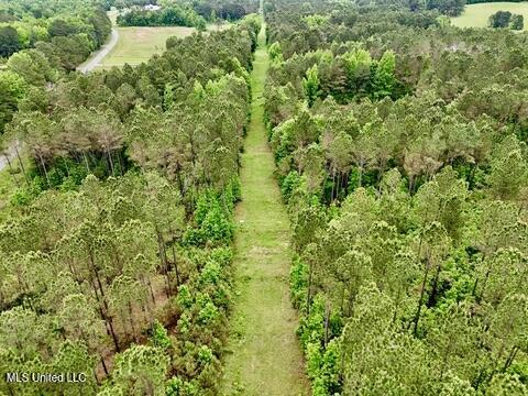 19 Mount Carmel Road Bailey, MS 39326 - Photo 8 of 26 44C296DA-D3E1-44CA-8CDB-82D0900AF552_4_5