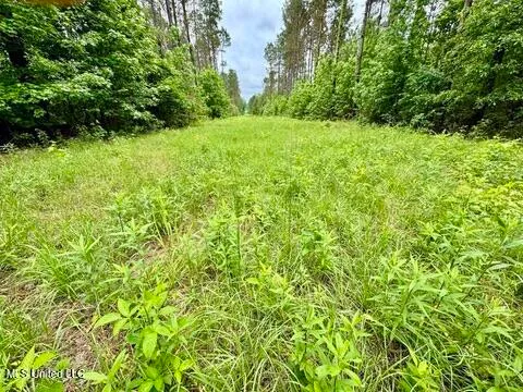 $89,550 | 19 Mount Carmel Road, Bailey, MS 39326