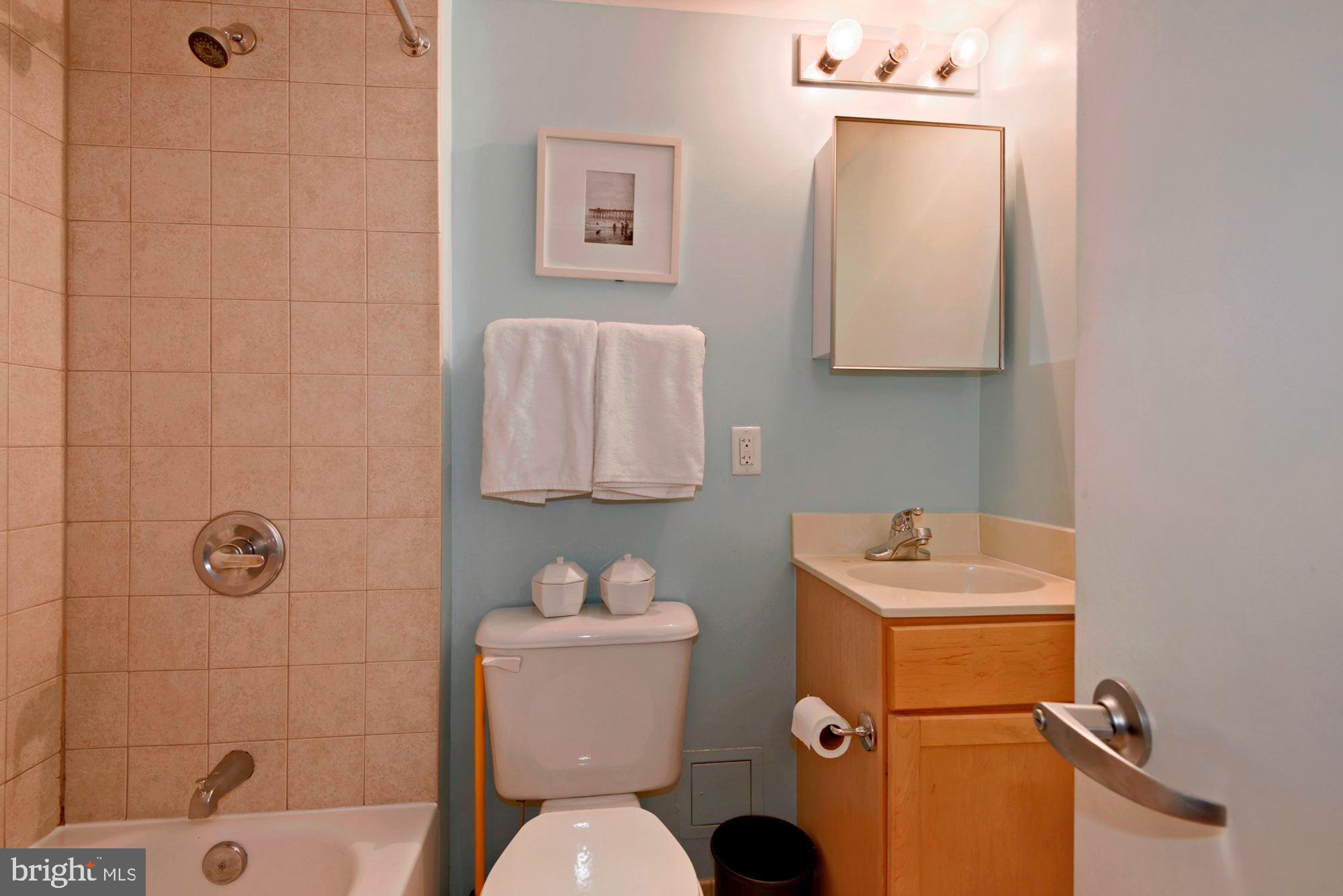 800 4th Street Southwest, Unit S210 Washington, DC 20024 - Photo 17 of 41 Bath