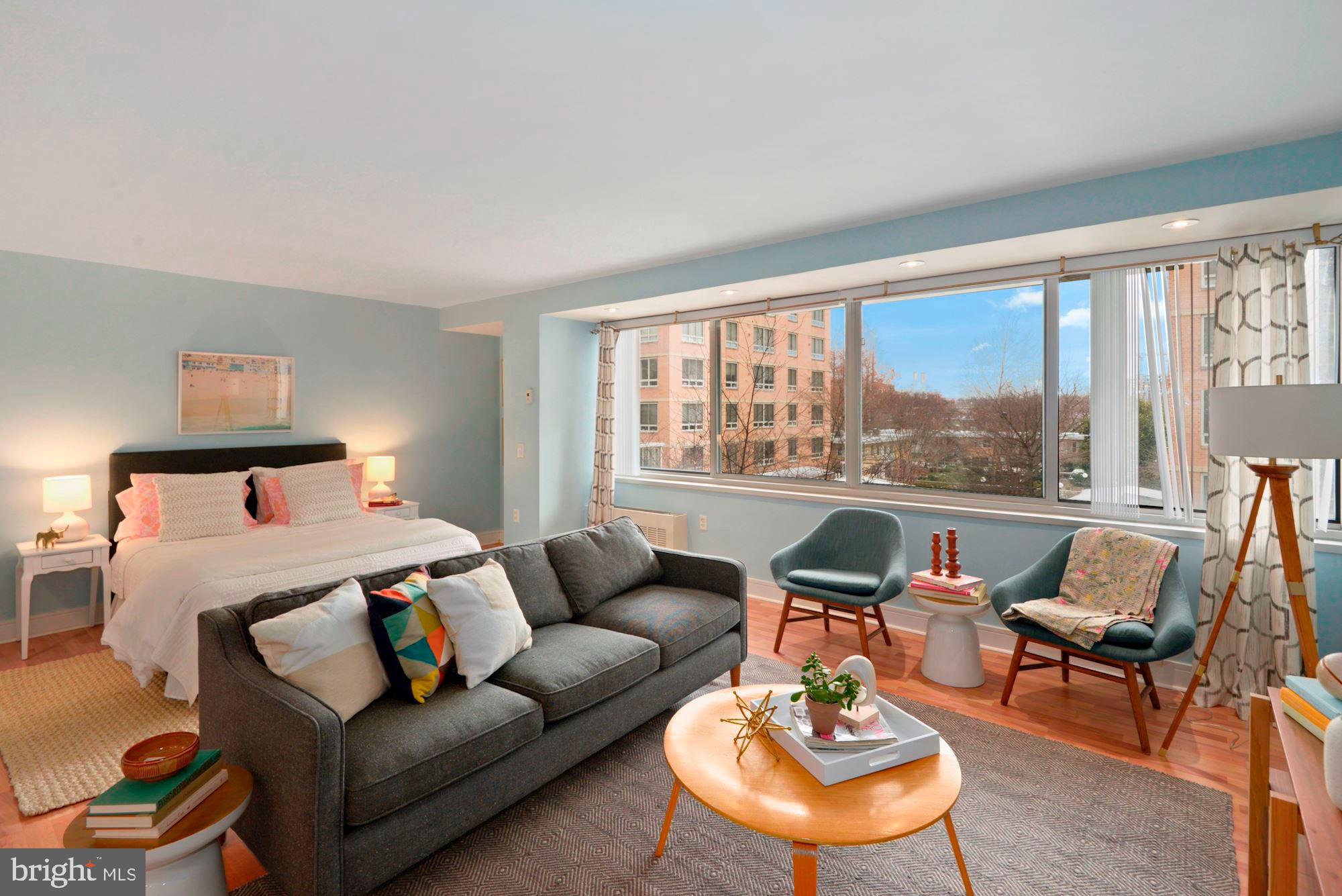 800 4th Street Southwest, Unit S210 Washington, DC 20024 - Photo 4 of 41 Sunny living and bedroom