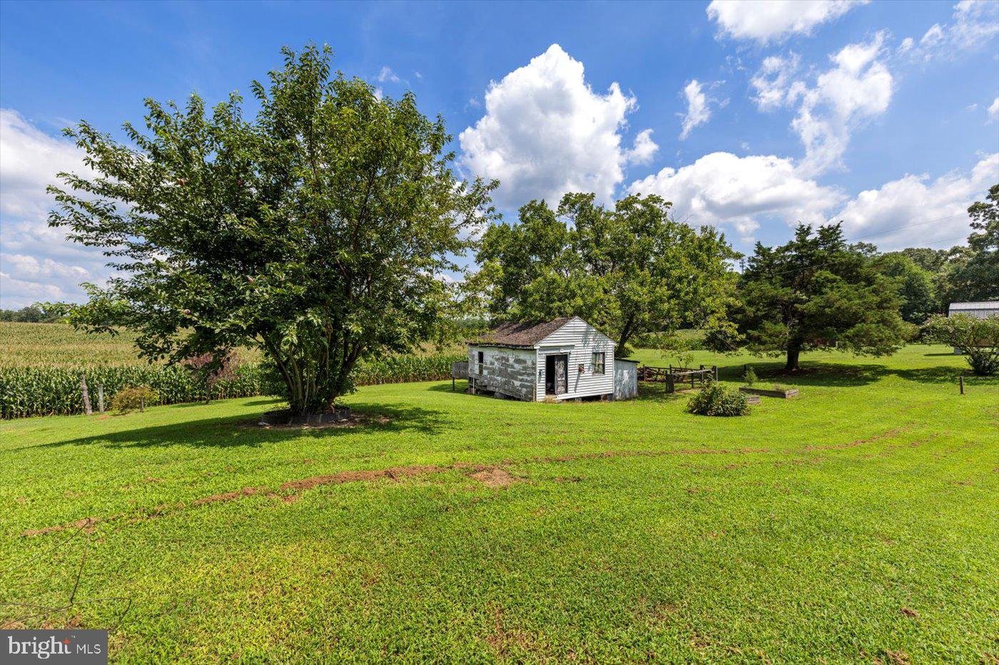 17437 Frog Level Road Ruther Glen, VA 22546 - Photo 33 of 41 Lawn