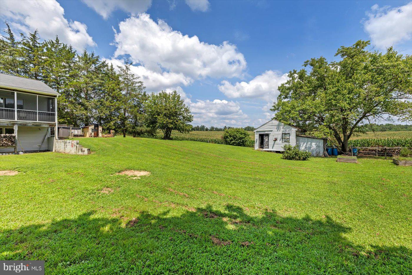 17437 Frog Level Road Ruther Glen, VA 22546 - Photo 34 of 41 Lawn