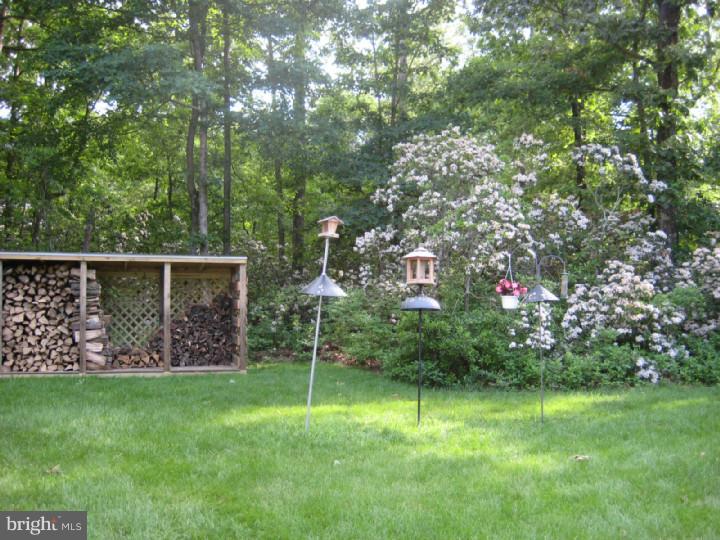 279 Forked Neck Road Shamong, NJ 08088 - Photo 22 of 23 Back Yard