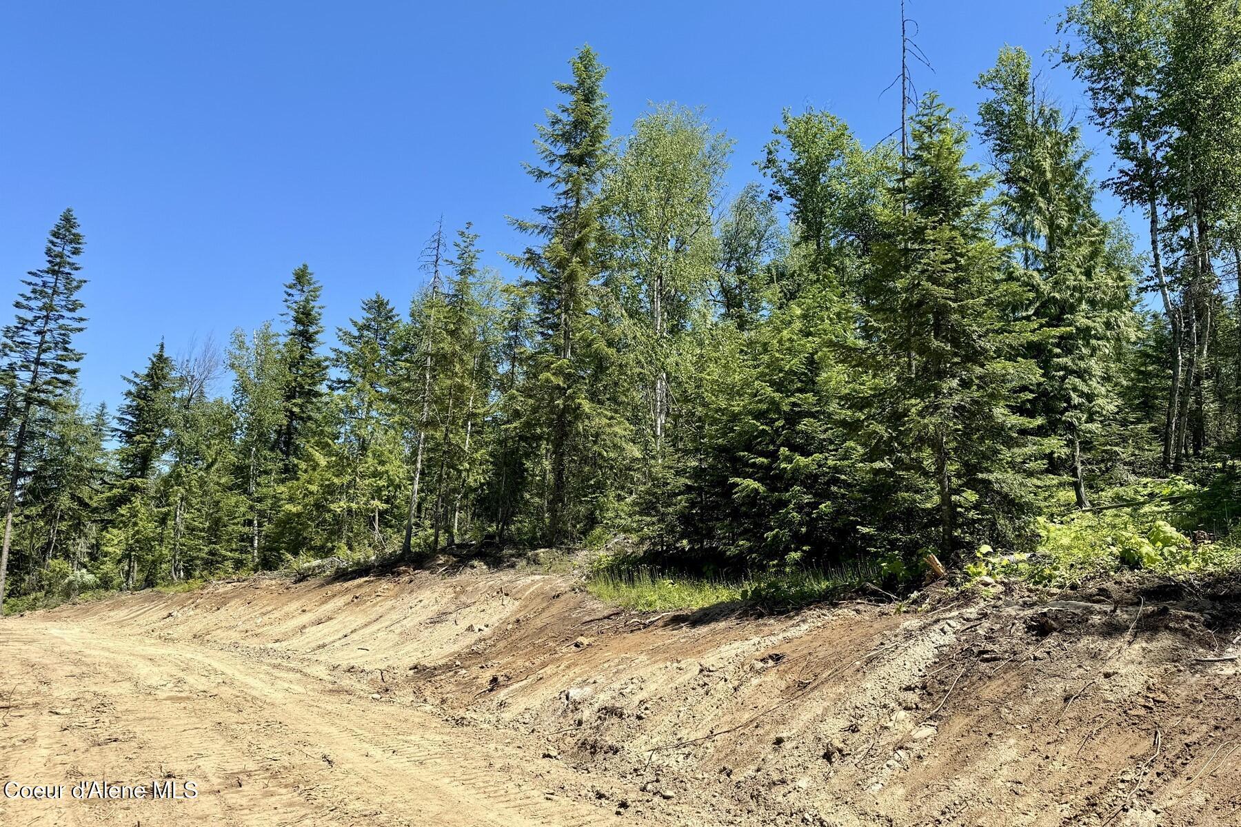 Nna Lot 8 Nna Ridge Sagle, ID 83860 - Photo 11 of 27 SURROUNDED BY FOREST