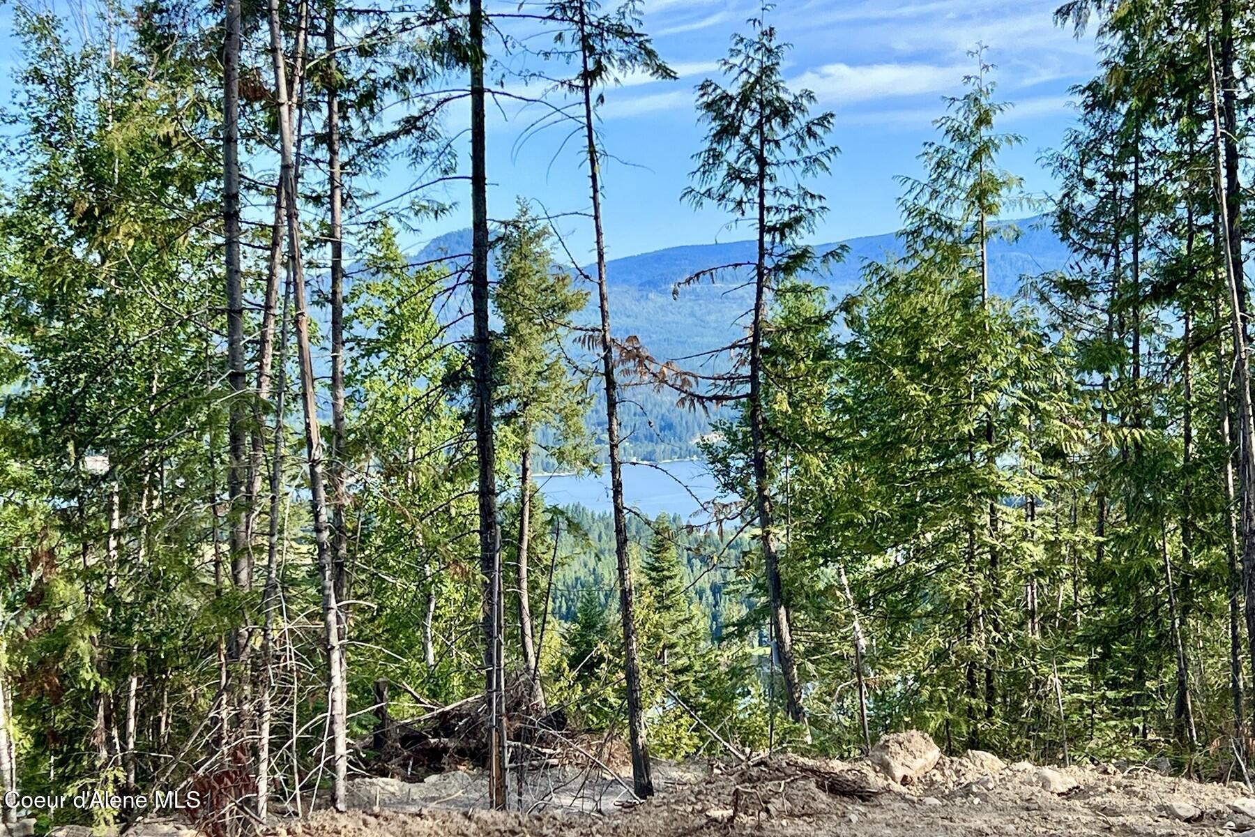 Nna Lot 8 Nna Ridge Sagle, ID 83860 - Photo 15 of 27 83007593