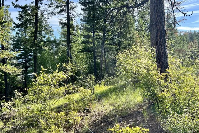 $249,000 | Nna Lot 8 Nna Ridge, Sagle, ID 83860