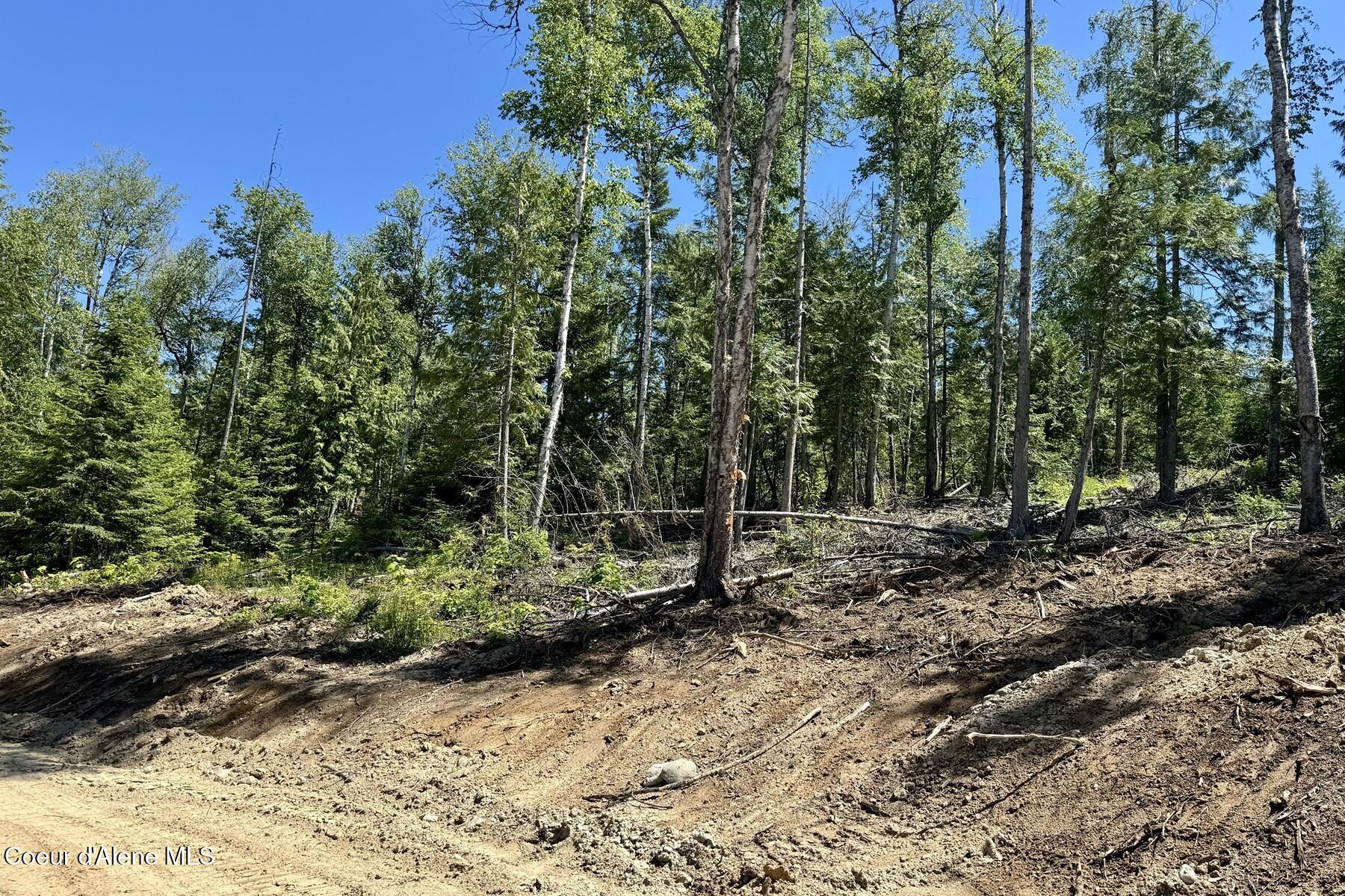 Nna Lot 8 Nna Ridge Sagle, ID 83860 - Photo 19 of 27 SITE IS ALREADY CLEARED