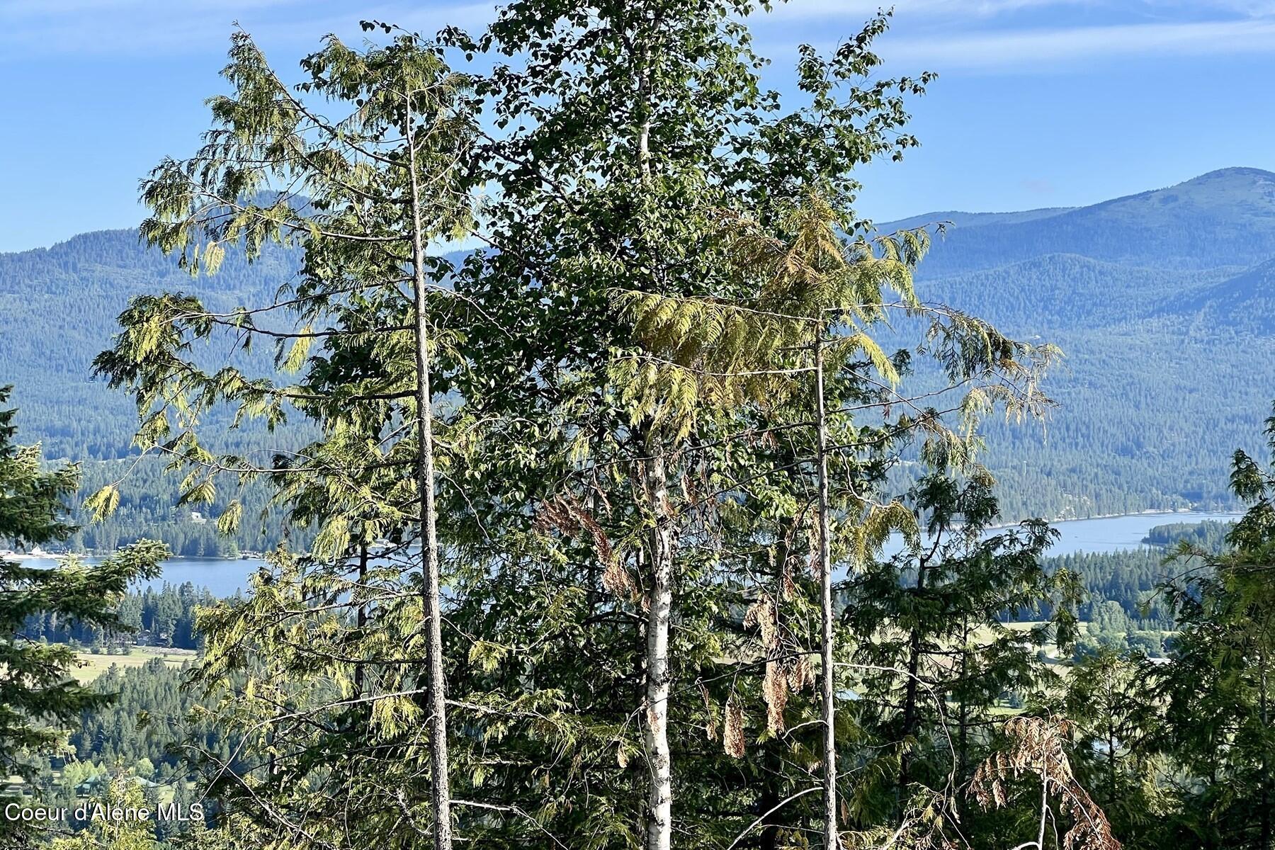 Nna Lot 8 Nna Ridge Sagle, ID 83860 - Photo 22 of 27 REMOVE TREES TO IMPROVE VIEW