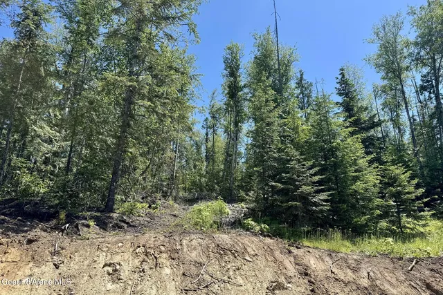 $249,000 | Nna Lot 8 Nna Ridge, Sagle, ID 83860