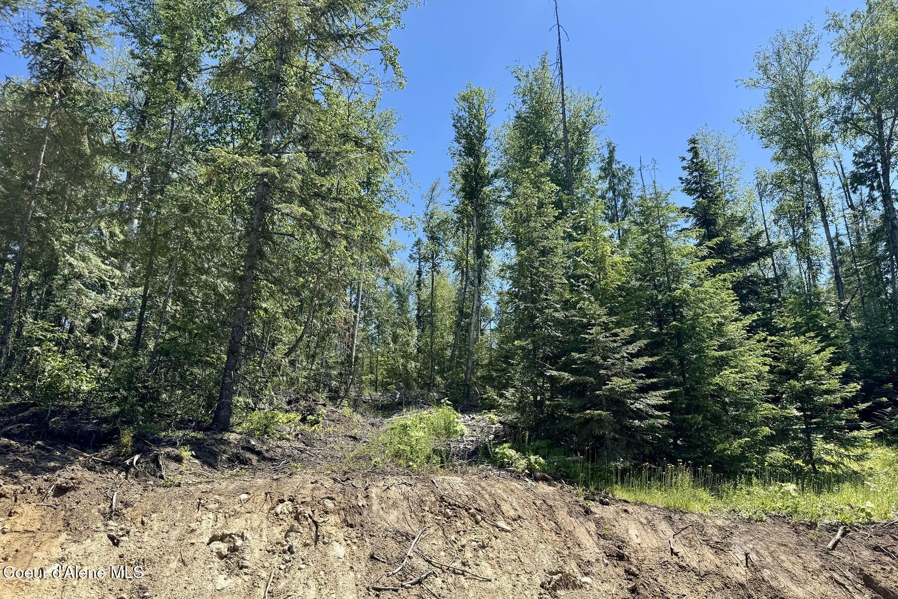 Nna Lot 8 Nna Ridge Sagle, ID 83860 - Photo 26 of 27 83007607