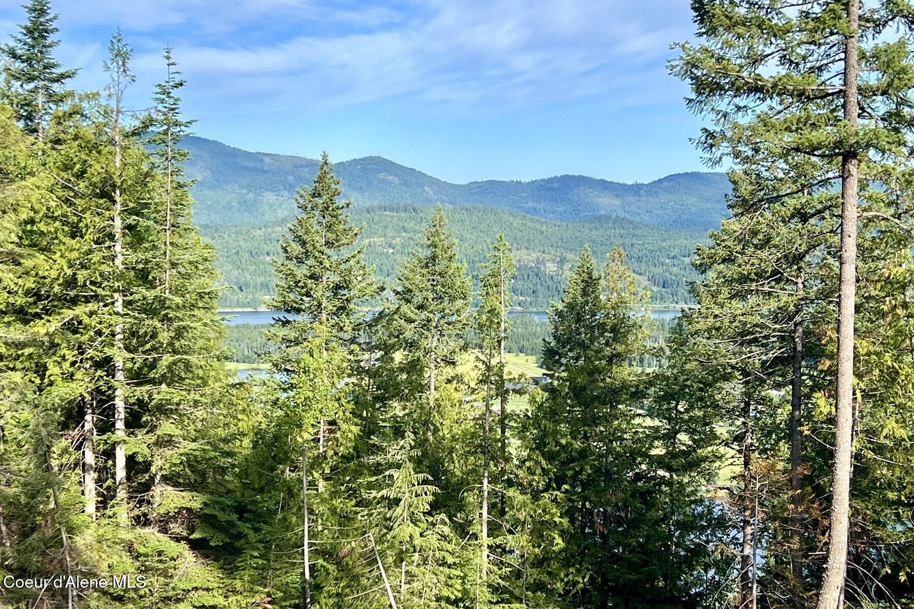 Nna Lot 8 Nna Ridge Sagle, ID 83860 - Photo 27 of 27 83007585