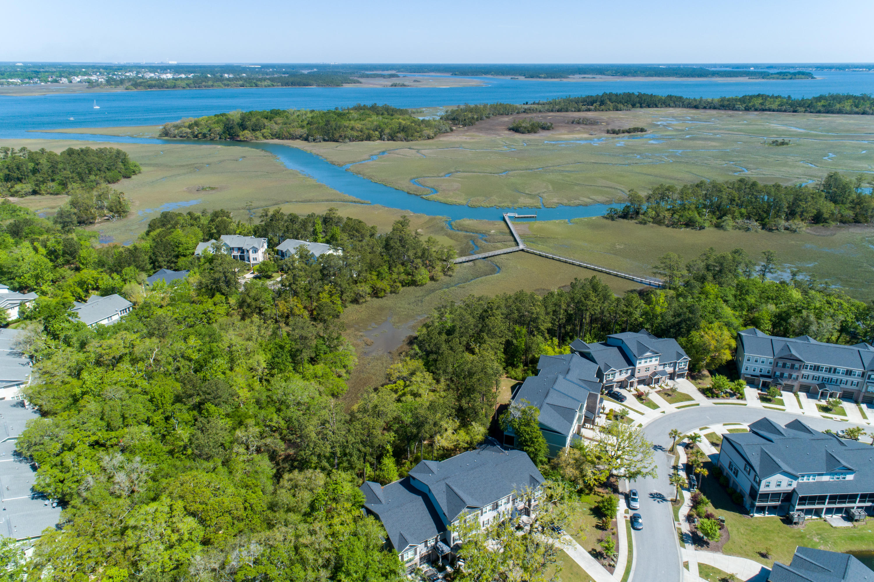 249 Slipper Shell Court Mount Pleasant, SC 29464 - Photo 1 of 29 249 Slipper Shell Aerial-1