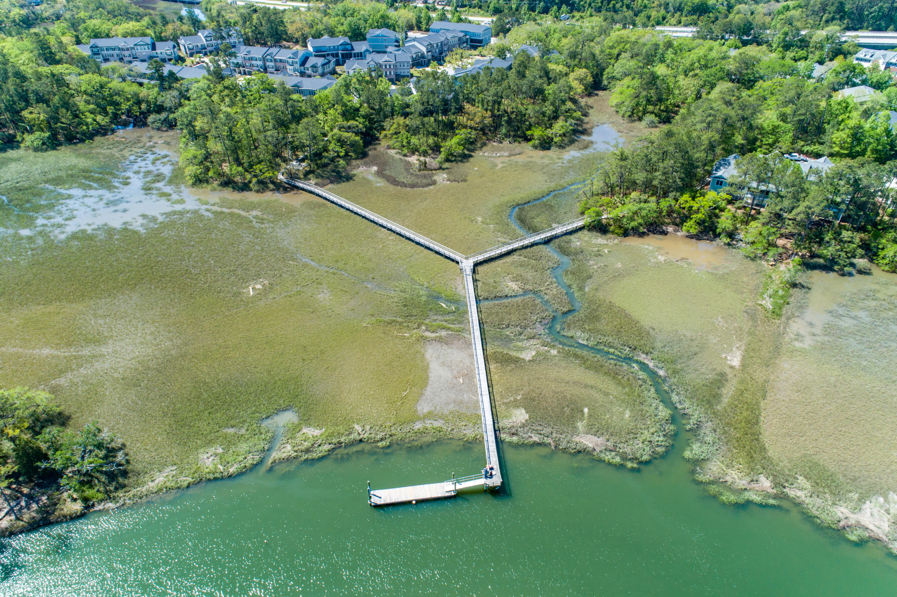 249 Slipper Shell Court Mount Pleasant, SC 29464 - Photo 20 of 29 249 Slipper Shell Aerial-3