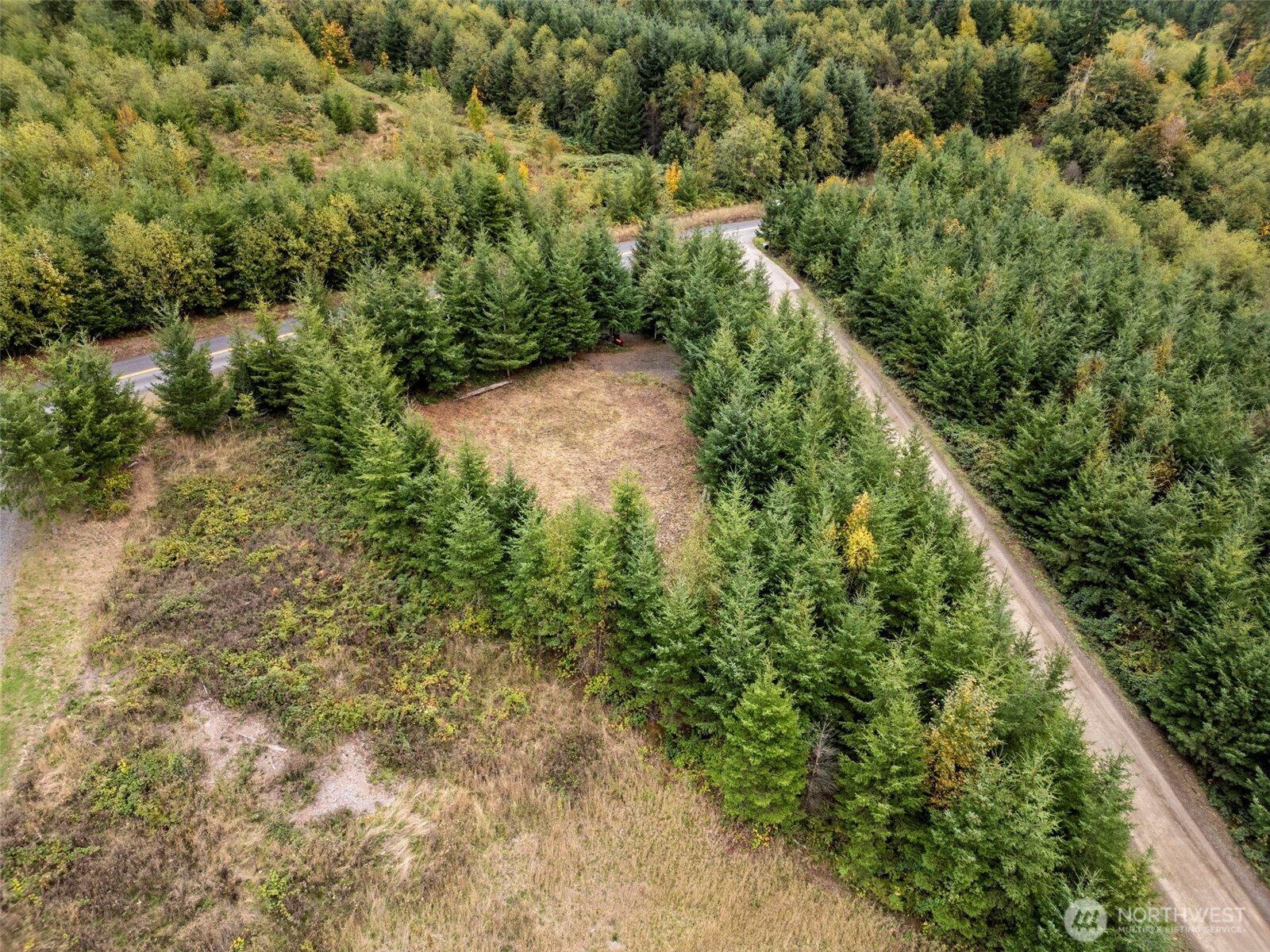 0 Bootjack Lane Kelso, WA 98626 - Photo 3 of 30 Gallery Image 3