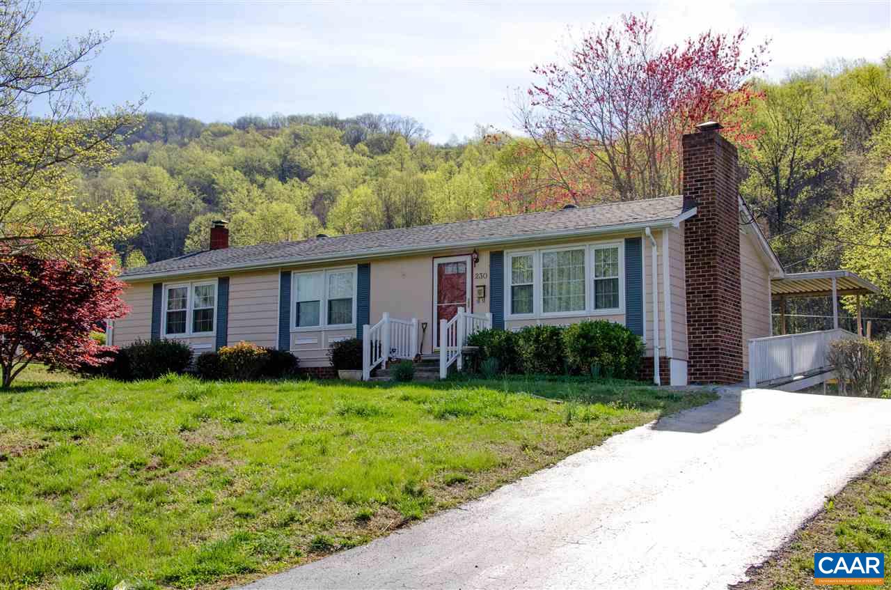 230 Ridge Street Lovingston, VA 22949 - Photo 1 of 37 a view of a house with a yard and potted plants