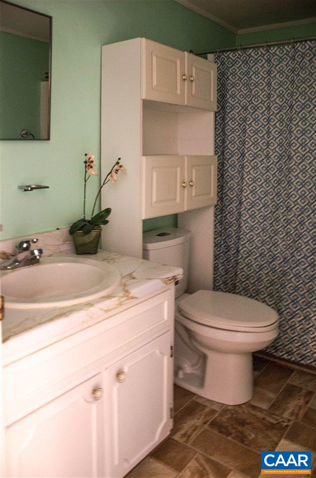 230 Ridge Street Lovingston, VA 22949 - Photo 13 of 37 a bathroom with a sink a toilet and mirror