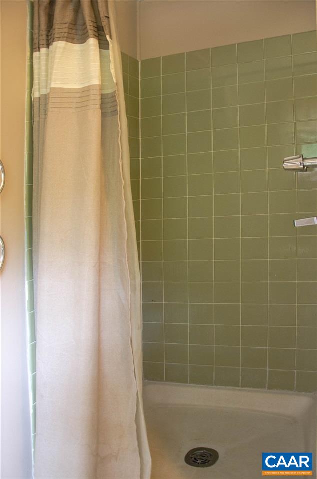 230 Ridge Street Lovingston, VA 22949 - Photo 19 of 37 a bathroom with a shower