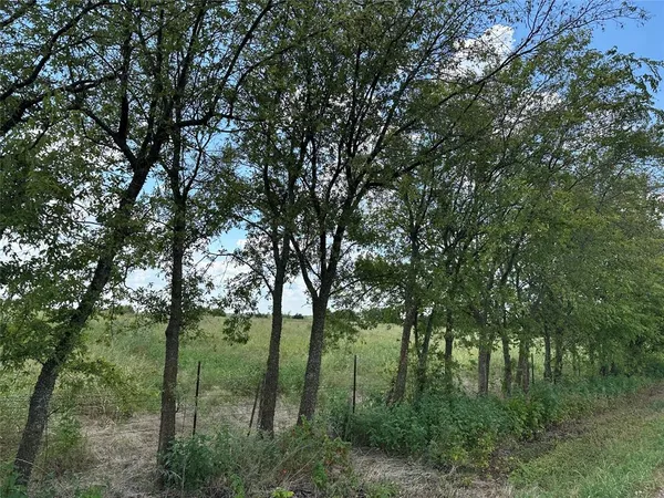 $78,000 | Lot 3 Rutledge Road, Whitewright, TX 75491