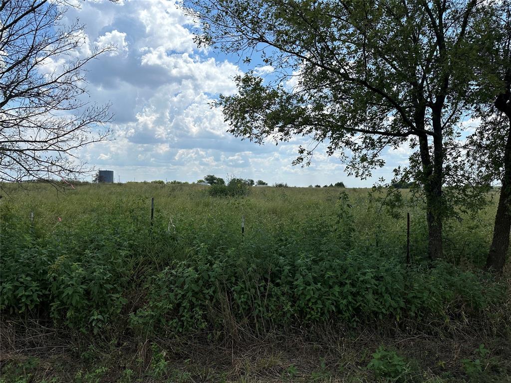 Lot 3 Rutledge Road Whitewright, TX 75491 - Photo 2 of 11 a view of a field with a tree in the background