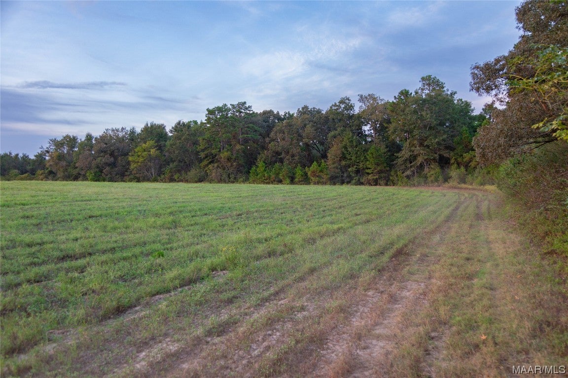 337 County Road 337 Brantley, AL 36009 - Photo 19 of 36 Gallery Image 19