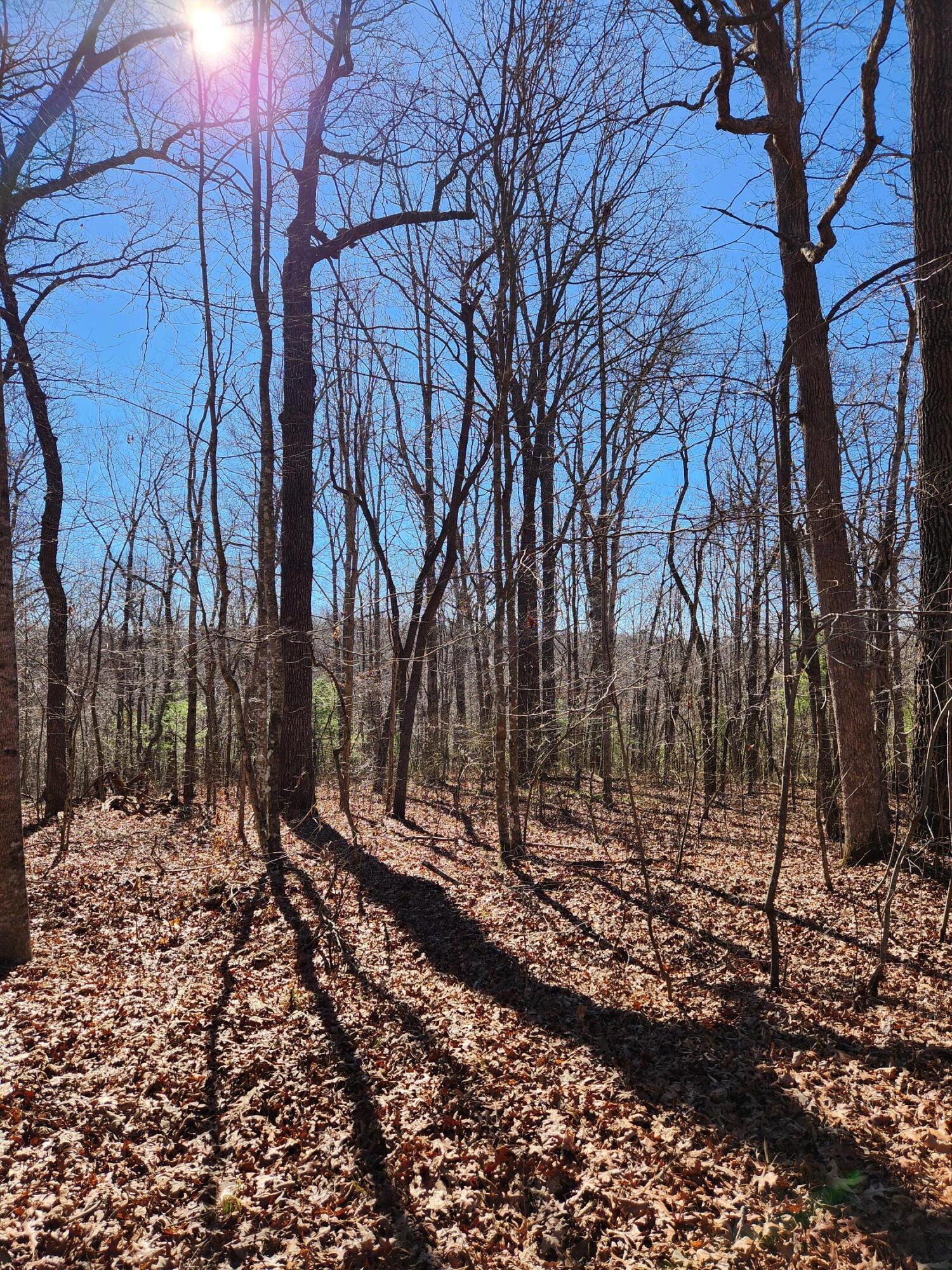 22 Devon Loop, Unit 22 Crossville, TN 38558 - Photo 2 of 11 20240206_104854