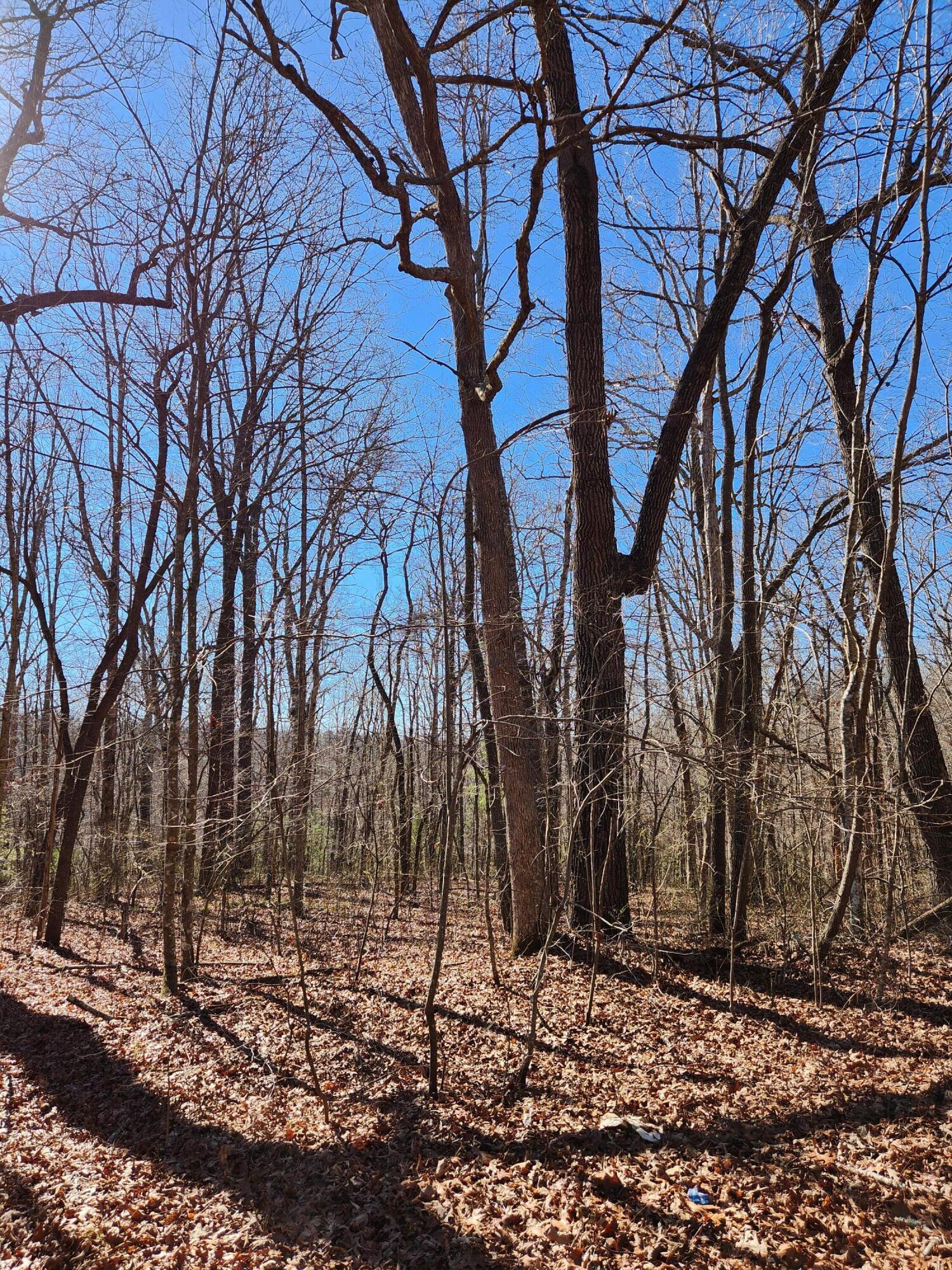 22 Devon Loop, Unit 22 Crossville, TN 38558 - Photo 3 of 11 20240206_104847