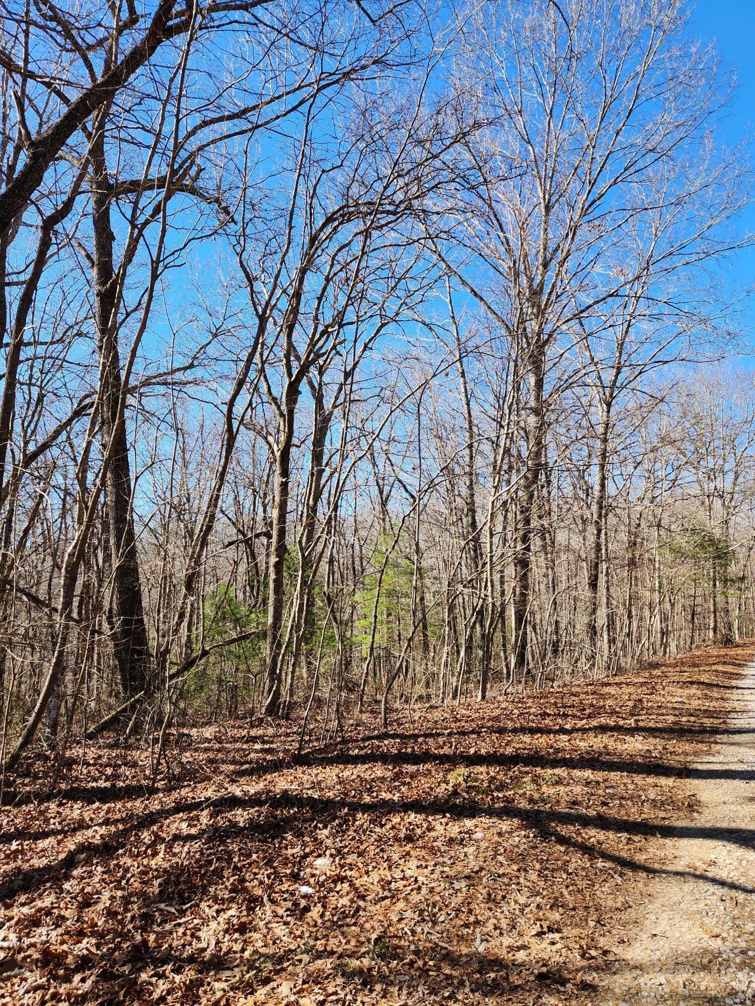 22 Devon Loop, Unit 22 Crossville, TN 38558 - Photo 4 of 11 20240206_104841