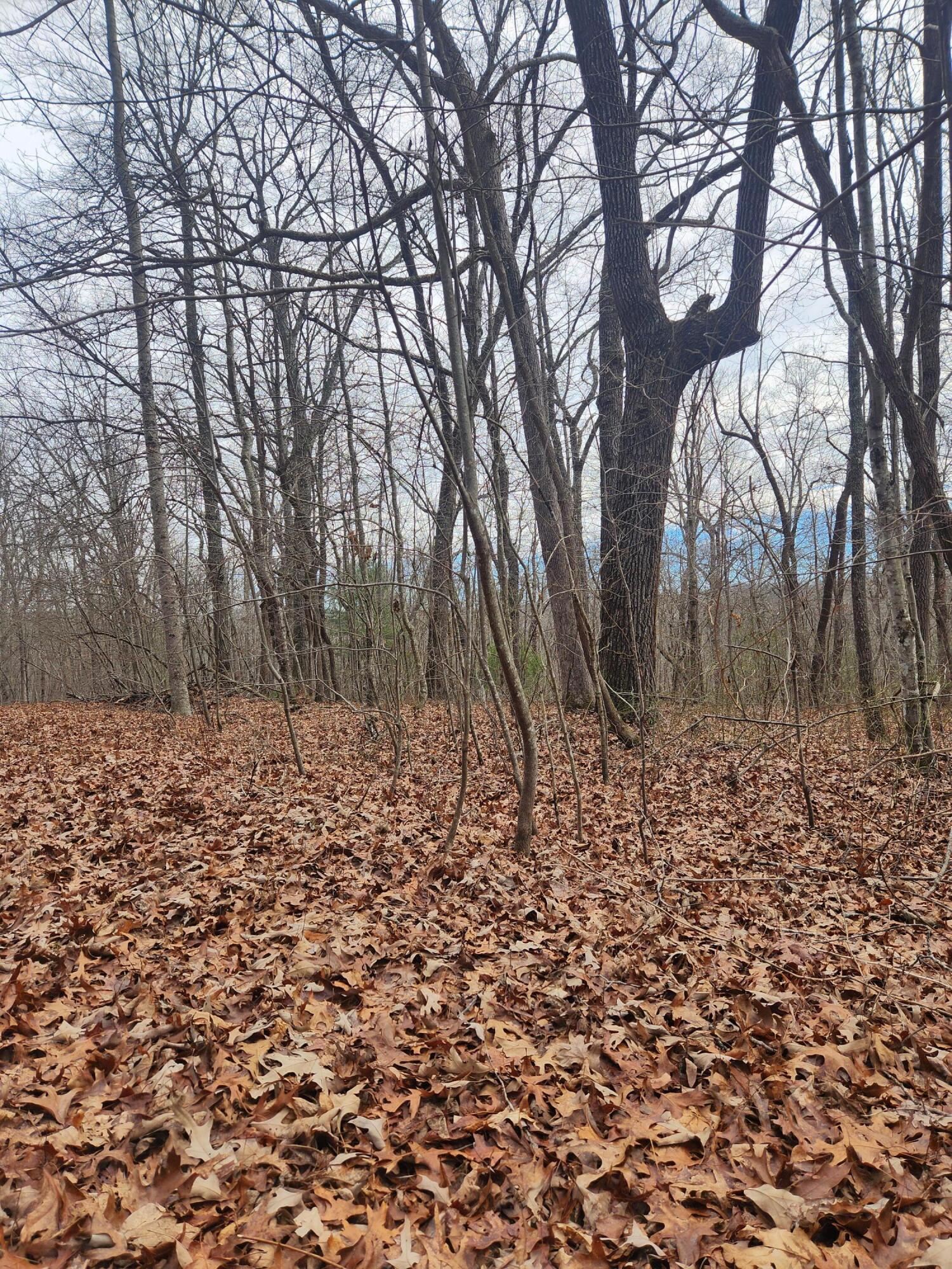 22 Devon Loop, Unit 22 Crossville, TN 38558 - Photo 7 of 11 20250214_130656