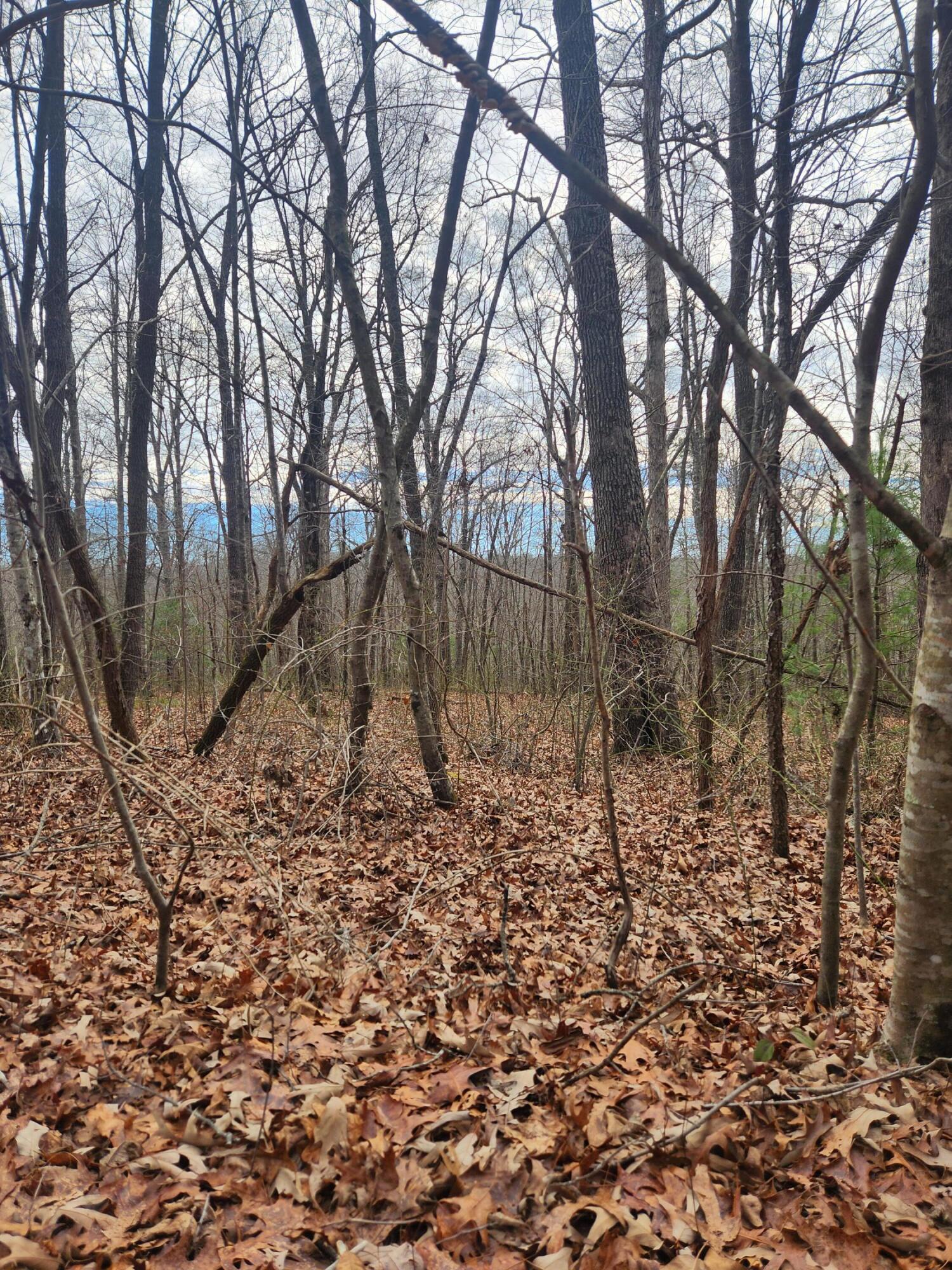 22 Devon Loop, Unit 22 Crossville, TN 38558 - Photo 8 of 11 20250214_130651