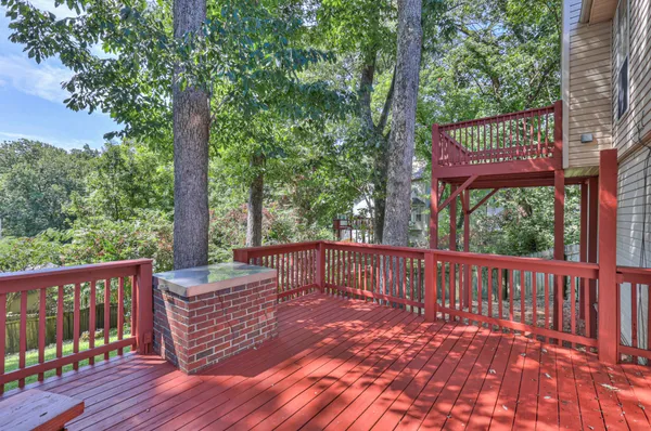 a view of a wooden deck with a large trees