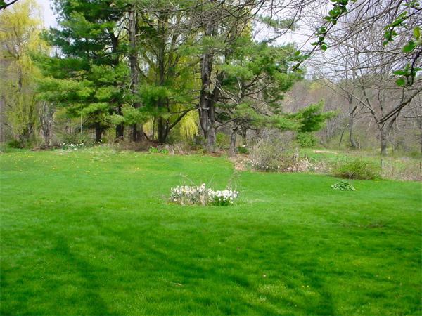26 Fomer Road Southampton, MA 01073 - Photo 4 of 29 a backyard of a house with lots of green space