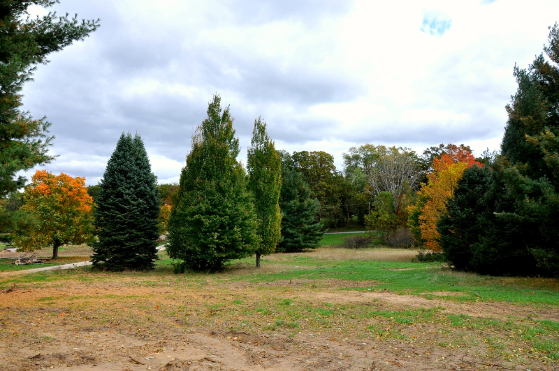 2780 Bessemer Road Coloma, MI 49038 - Photo 36 of 38 DSC_4400