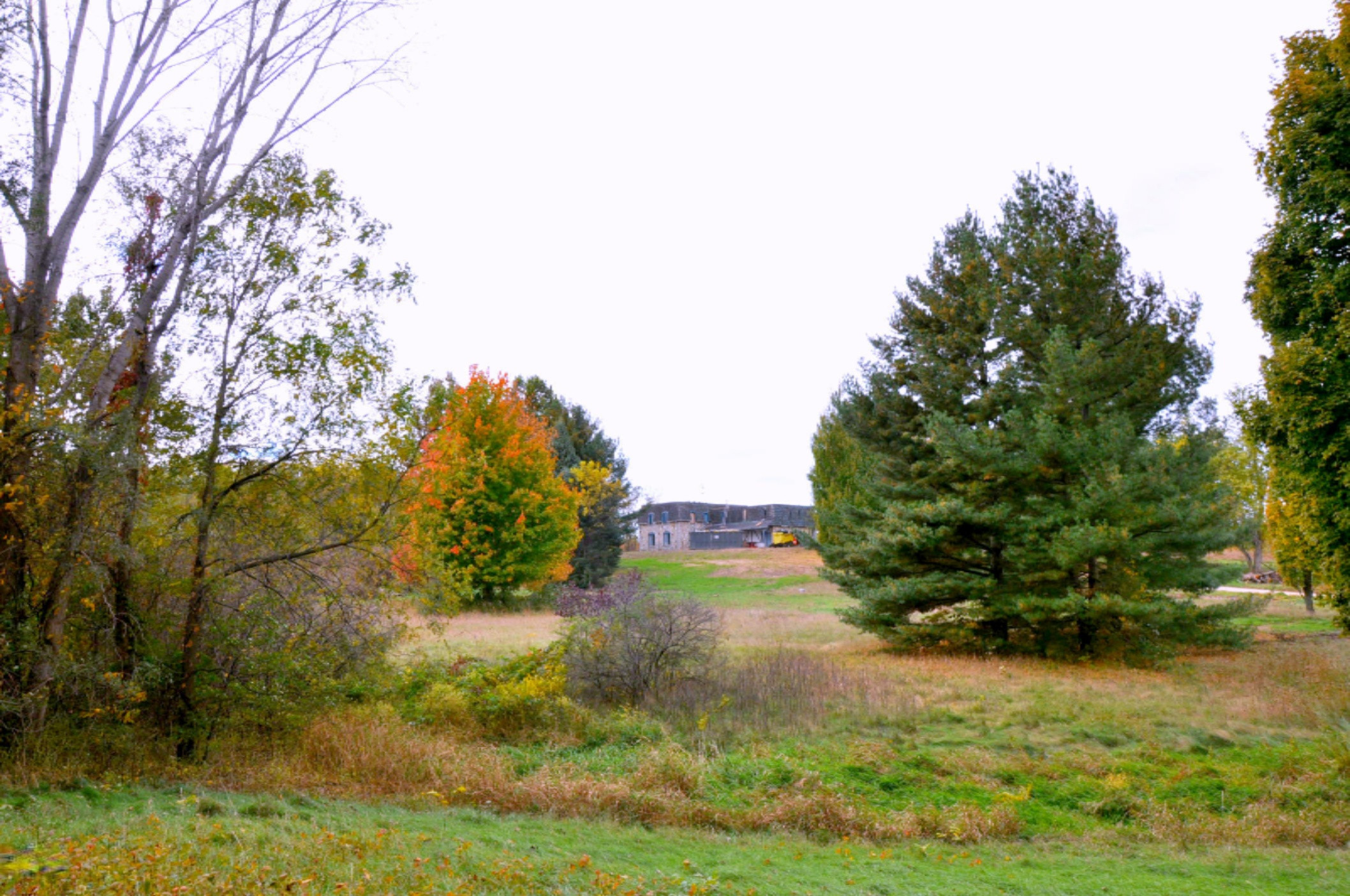 2780 Bessemer Road Coloma, MI 49038 - Photo 37 of 38 DSC_4403