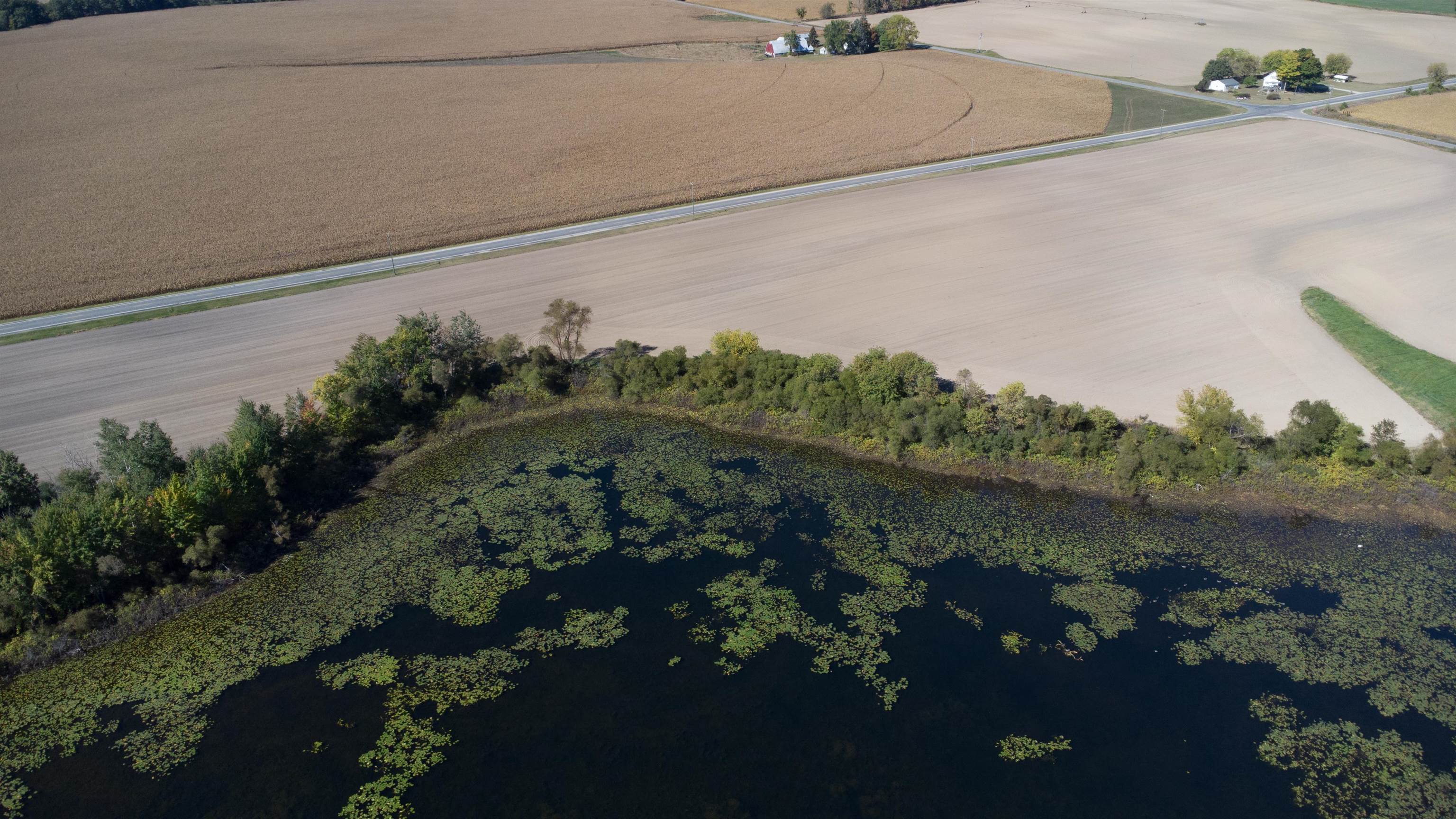 Gravel Ridge Road Trufant, MI 49347 - Photo 18 of 21