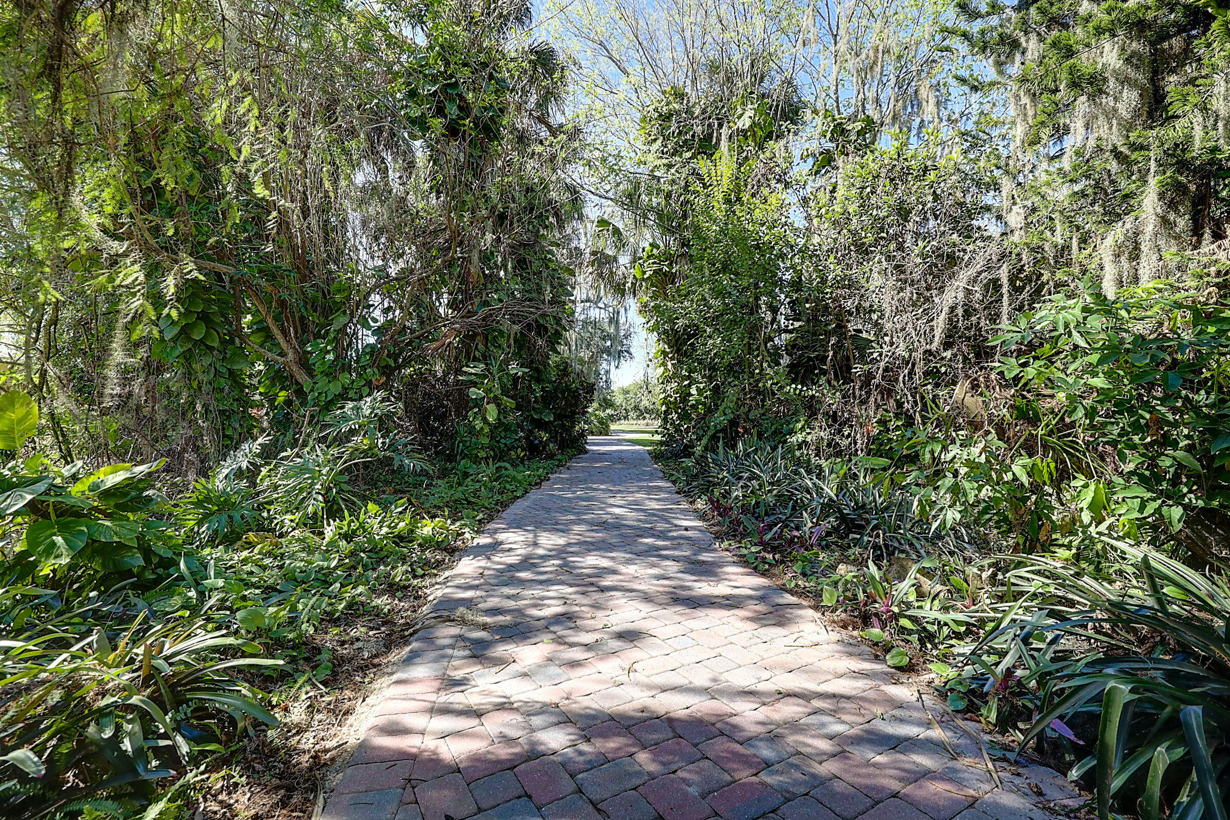 10004 Highway 441 Okeechobee, FL 34974 - Photo 6 of 50 Driveway