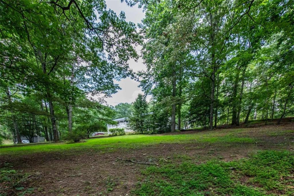 261 Clayton Trail Canton, GA 30114 - Photo 33 of 37 a green field with lots of trees
