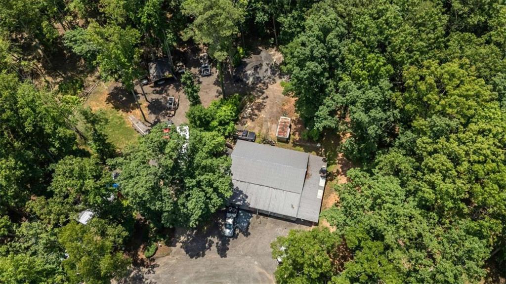 261 Clayton Trail Canton, GA 30114 - Photo 36 of 37 a picture of a tree