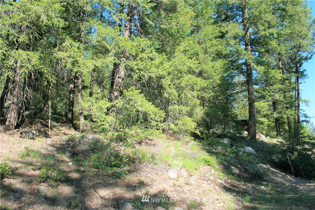 7 Emerson Road Mazama, WA 98833 - Photo 14 of 15 Gallery Image 14