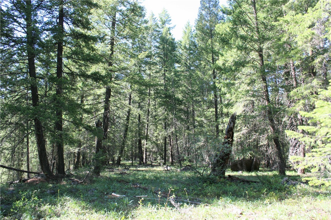 7 Emerson Road Mazama, WA 98833 - Photo 8 of 15 Gallery Image 8