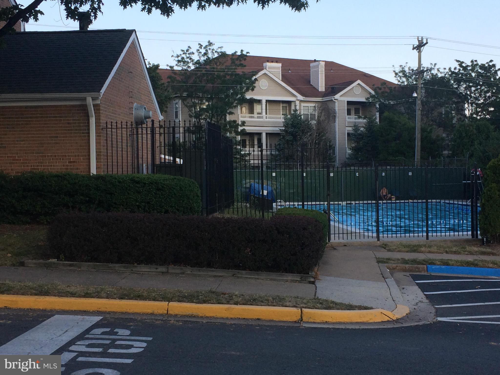 14583 Golden Oak Road, Unit 14583 Centreville, VA 20121 - Photo 13 of 14 Community Pool