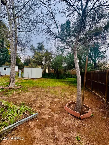 a view of a garden with large tree