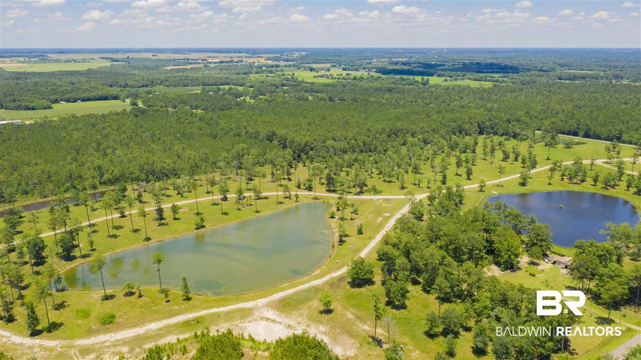 6119 Molsbee Road Bon Secour, AL 36511 - Photo 3 of 12
