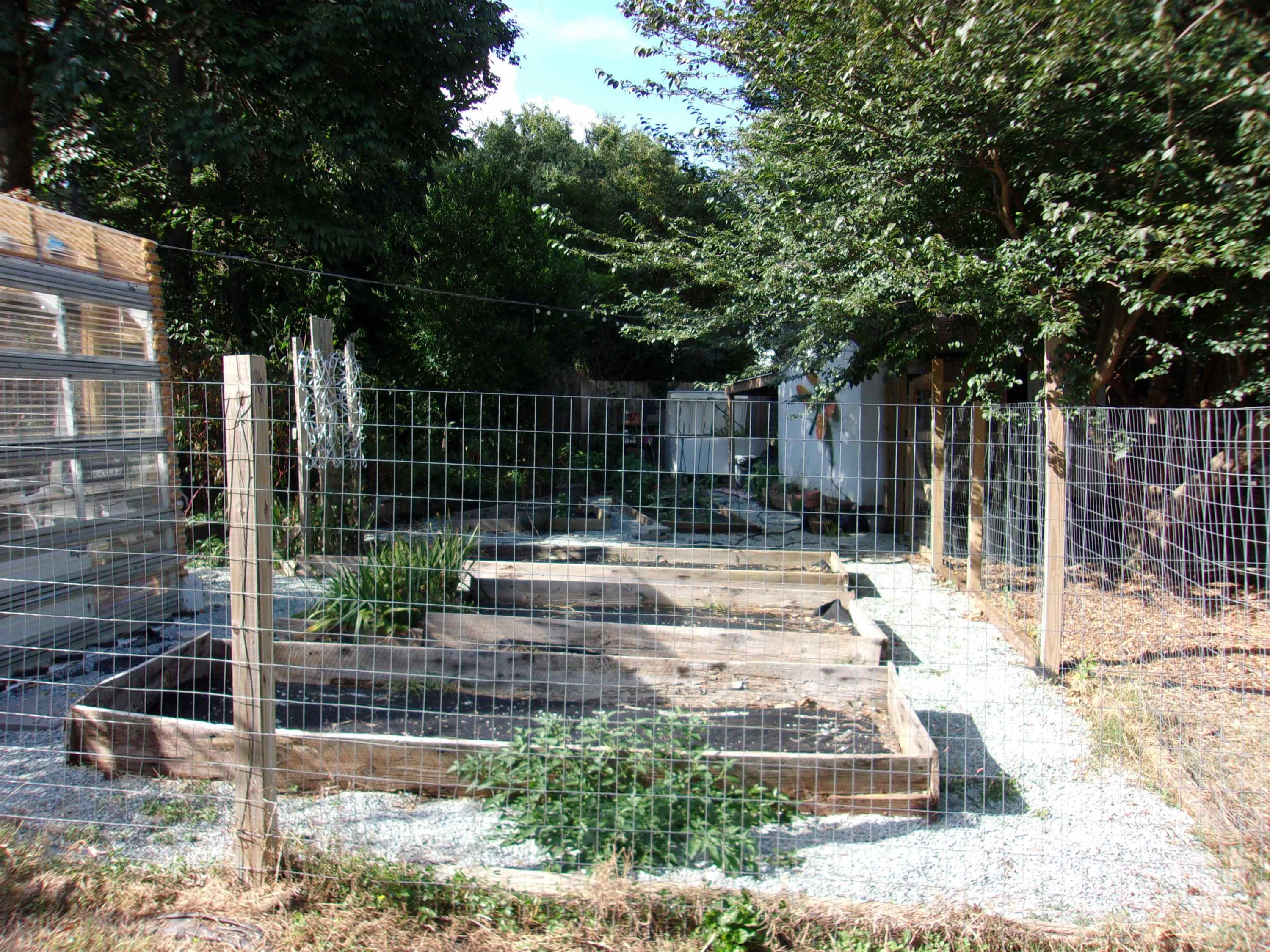 8709 Oneal Road Raleigh, NC 27613 - Photo 20 of 21 Garden