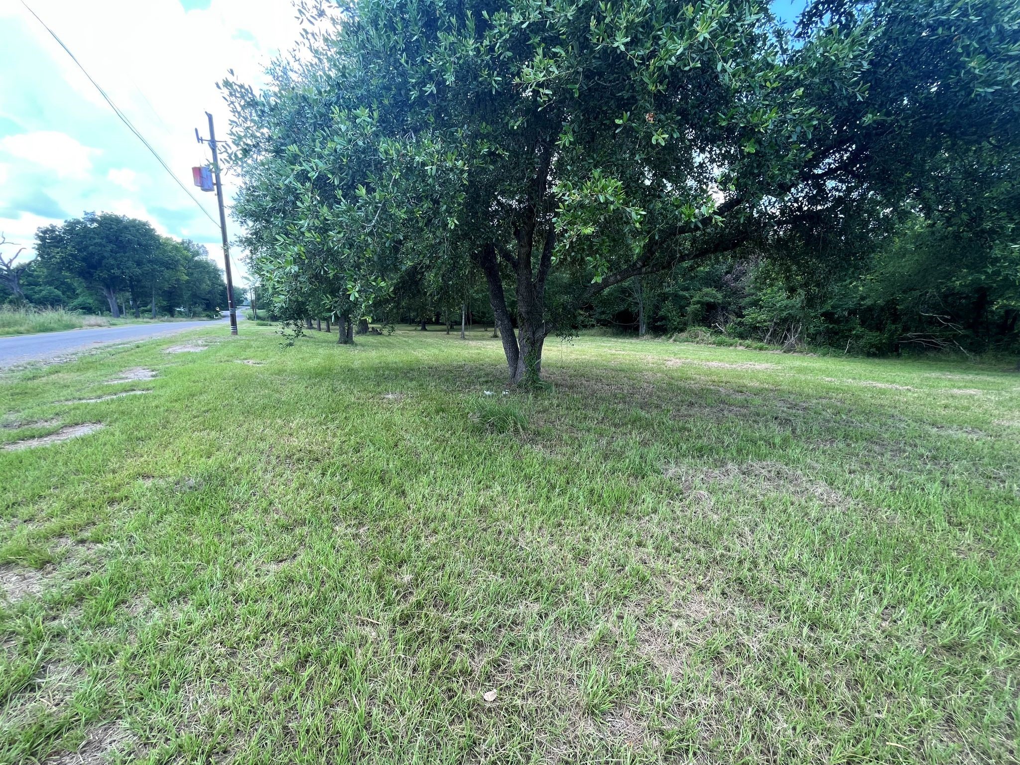 1130 South Robb Street Trinity, TX 75862 - Photo 7 of 12