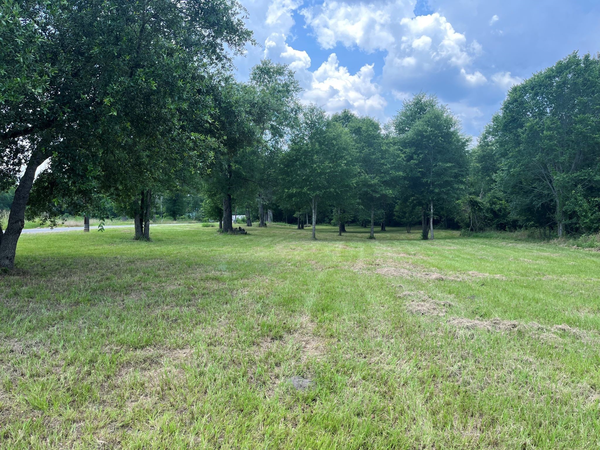 1130 South Robb Street Trinity, TX 75862 - Photo 8 of 12